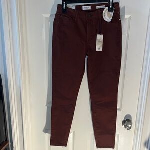 Women’s  Curve appeal Burgundy Pants